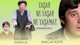 Yaşar Ne Yaşar Ne Yaşamaz Türk Filmi  Restorasyonlu  FULL HD  HALİT AKÇATEPE