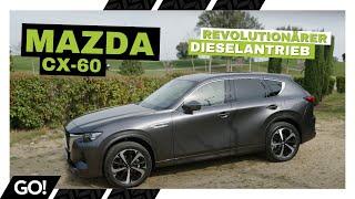 Elegante Leistung mit modernem Dieseltriebwerk - Mazda CX-60 Diesel