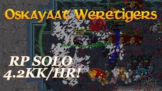 Oskayaat Weretigers - GREAT SPOT for Solo RP 4.2KKHR