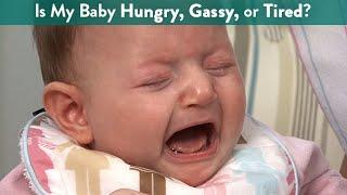 Is My Baby Hungry Gassy or Tired?  CloudMom