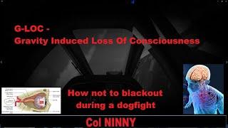 88 IL-2 How NOT to Blackout during a Dogfight. Gravity induced Loss of Consciousness - explained
