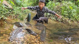 Full video In 65 days orphan boy Nams made primitive fish traps catching fish to sell