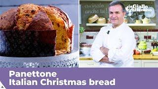 PANETTONE Italian Christmas bread traditional recipe