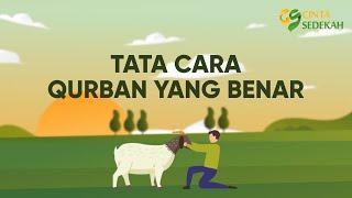 Motion Graphic Tata Cara Penyembelihan Hewan Qurban yang BENAR 2020