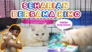 24 JAM BERMAIN BERSAMA KIMO KUCING LEIKA