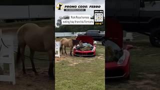 Horse Eating Hay Out Of Ferrari Is The Wildest Thing You Will See On The Internet Tofay