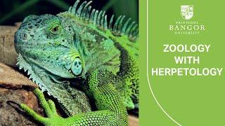 Virtual Visit Day - Zoology with Herpetology