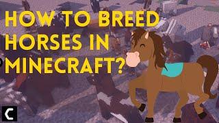 How to Tame & Breed Horses in Minecraft? Super Guide2022