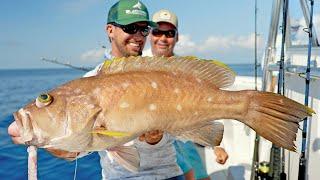 Deep Sea Fishing in Alabama Deep Water Groupers and Snappers