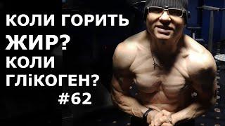 Похудение. Когда сжигается жир? @vladyslav_mateiko  #62 владислав матэйко 200+