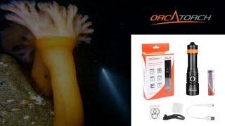 OrcaTorch D530 Scuba Dive Light Review & Unboxing