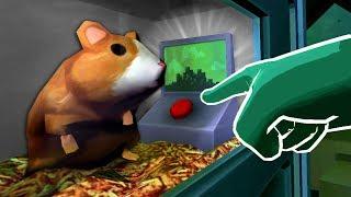 THE SECRET HAMSTER BUTTON - Please Dont Touch Anything 3D VR