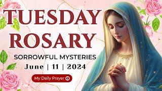 HOLY ROSARY TUESDAYSORROWFUL MYSTERIES OF THE ROSARY JUNE 11 2024  REFLECTION WITH CHRIST