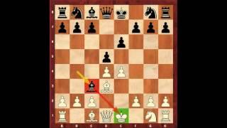 Chess for Beginners. Chess Openings #7. Opening Examples. Eugene Grinis. Chess