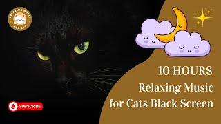 Relaxing Music for Cats Black Screen 10 Hours  Relaxing Music For Cat