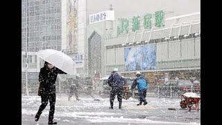 Snow Day in Yokohama Japan Day 10