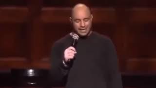 Joe Rogan on Time Travel