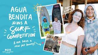 Our Isla Life Agua Bendita joins a surf comp  new pet bunny