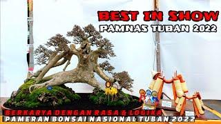 BONSAI BEST IN SHOW  PAMNAS TUBAN 2022  BERKARYA DENGAN RASA & LOGIKA