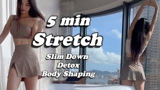 5min Stretch for a Fit Body Nice Posture Body reShaping A Beginner Routine. WARM UP COOL DOWN