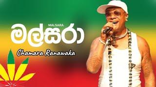 Malsara  මල්සරා  Chamara Ramawaka  New Reggae Song 2023