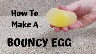 How to Make A Bouncy Egg
