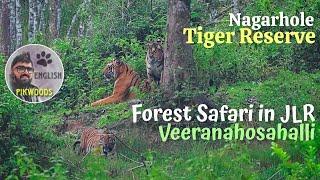 Nagarhole Tiger reserve in India  English version of JLR Forest safari in Coorg Karnataka