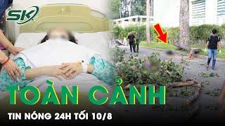 Toàn Cảnh Tin Nóng 24h Tối 108  Tin Tức Thời Sự Cập Nhật Mới Nhất Hôm Nay  SKĐS