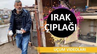 IRAK ÇIPLAĞI KUŞU - AHMET ÇELİK TAKLACI GÜVERCİN KÜMES ZİYARETİ