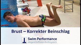 Richtiger Brustbeinschlag lernen Schere korrigieren mit diesen Übungen richtig Schwimmen