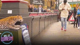 LEOPARD PRANK - In Camden Town