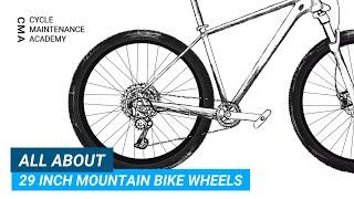 All About 29 Inch Mountain Bike Wheel