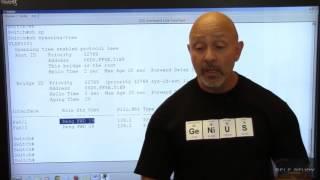 CCNA Training for newbie Lesson 84 What is STP used for