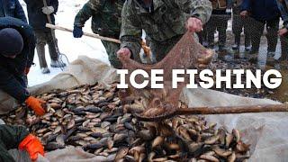 How to Get Food in the Coldest Village on Earth Yakutia