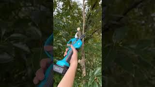 Swansoft 8608 32MM cordless electric pruning shear cutting video