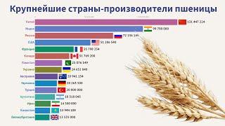 Крупнейшие страны-производители пшеницы 1960-2018