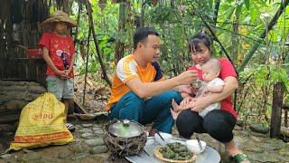 18-year-old single mother Harvesting guava garden - HUNG prepares meal waiting for Ly Tieu An