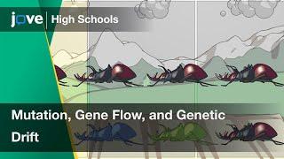 Mutation Gene Flow and Genetic Drift  Bio  Video Textbooks - Preview