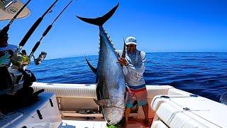 pesca de atun de 160 kilos