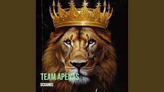 TEAM APENAS