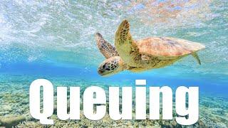 Queuing - A QoS Shallow Dive