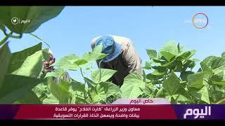 اليوم - هاتفياً  د. محمد القرش معاون وزير الزراعة وحديثه عن منظومة  كارت الفلاح 