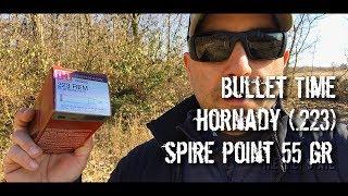 Bullet Time - Hornady Spire Point 55 gr .223 Chronographed