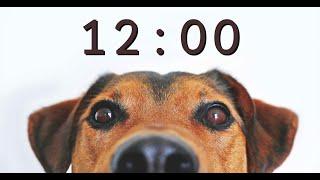 12 Minute Timer for School and Homework - Dog Bark Alarm Sound