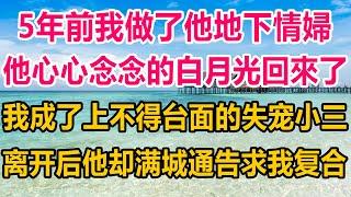 5年前我趁虚而入做了他地下情妇，如今他心心念念的白月光回来了，我成了上不得台面的失宠小三，离开后他却满城通告求我复合#情感故事 #情感 #生活經驗 #家庭 #两性情感