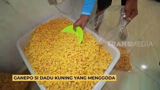 Ganepo Si Dadu Kuning Yang Menggoda  RAGAM INDONESIA 230523