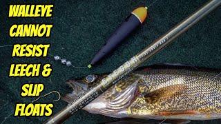 WALLEYE LOVE LEECHES & SLIP FLOATS- Deadly technique for summer walleye