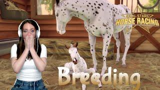 BREEDING BEAUTIFUL FOALS - Rival Stars Horse Racing  Pinehaven