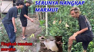 NANGKAP MARMUT AJA JADI SESERU INI.. Emang Randomnya mereka