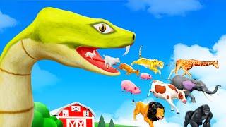 Giant Snake to Small Snake - Funny Video  Giant Snake Eating All Animals in Forest Animal Cartoons